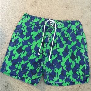 Men's swim trunk by J Crew.